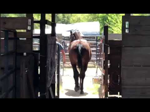 TAG 3909  wird auf die Ausreise vorbereitet 2