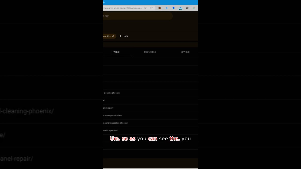 SEO Case Study Insight