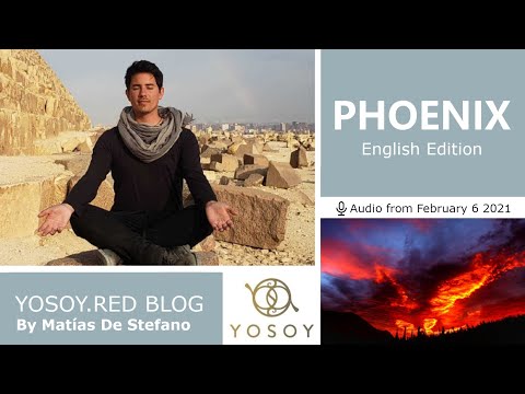 Day 187 - PHOENIX - Matías De Stefano - YOSOY.RED BLOG: Root -Mental -Aquarius, Read by Celena 2/6