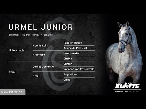URMEL JUNIOR v. Untouchable x Cornet Obolensky x Argentinus - Hengste 2022 - www.klatte.de