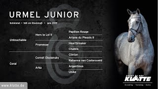 Video di URMEL JUNIOR