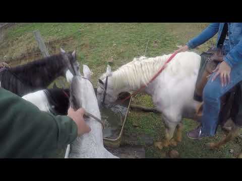 Vlog da Cavalgada Ecológica em Atílio Vivacqua ES
