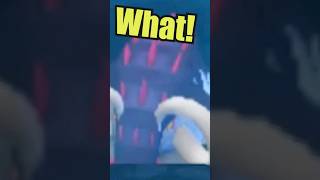 Paradox in the Mirror