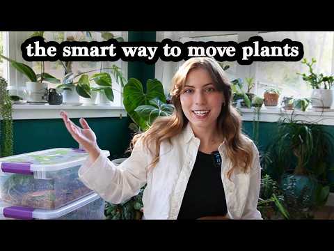 The ultimate guide to moving with plants (across the country)
