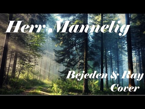 In Extremo - Herr Mannelig  ☾ Bejeden & Ray Cover☽