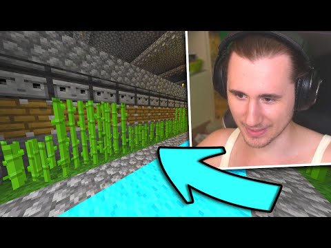 Costruiamo le prime FARM AUTOMATICHE - Pandora SMP 3 #12