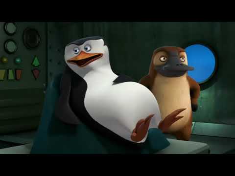 Pingwiny z Madagaskaru  (Pingwin, który mnie kochał)