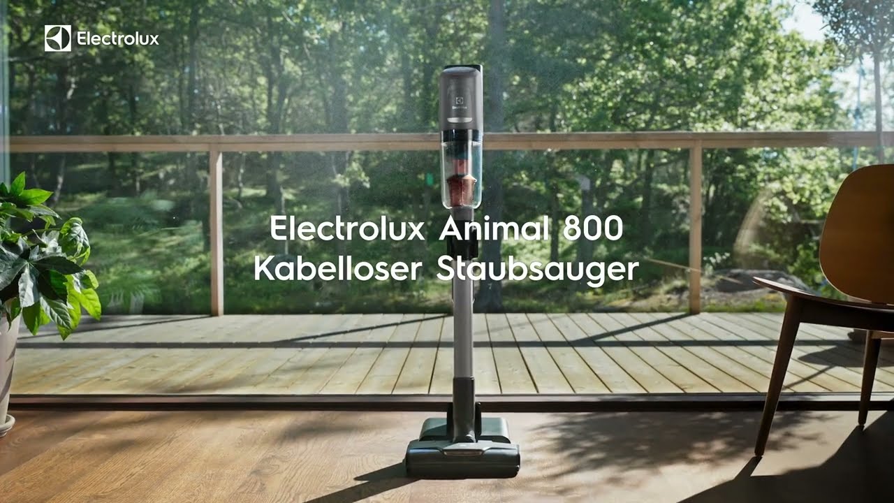 Electrolux Akku-Hand- und Stielsauger EP81AB25UG Grau