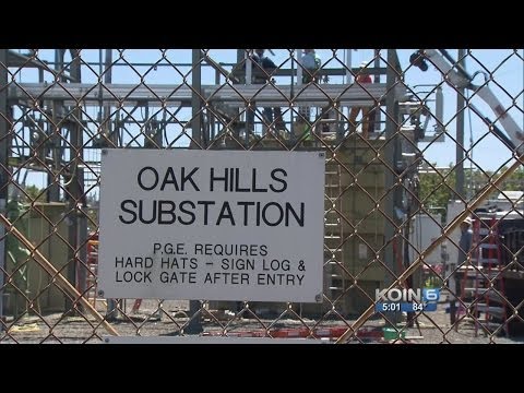 Ah nuts: Squirrel lead to another outage, PGE says