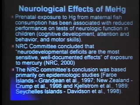Michael Aschner, PhD discusses Mercury in Neurological Diseases L.V. 2007