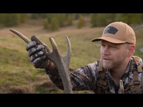 Red Deer & Red Wine! Hunting roaring Red Stag & eating amazing food in ITALY! NICK’S WILD RIDE pt2/2