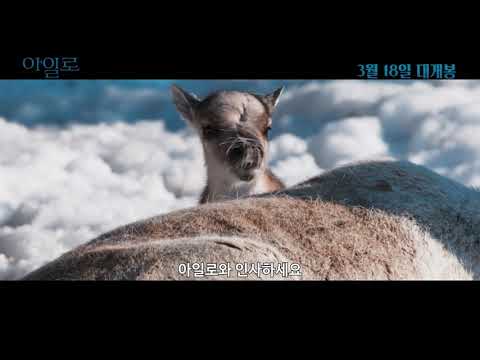 유튜버 #고몽 과 사랑스러운 아기 순록 '아일로'의 만남♥ 예고편