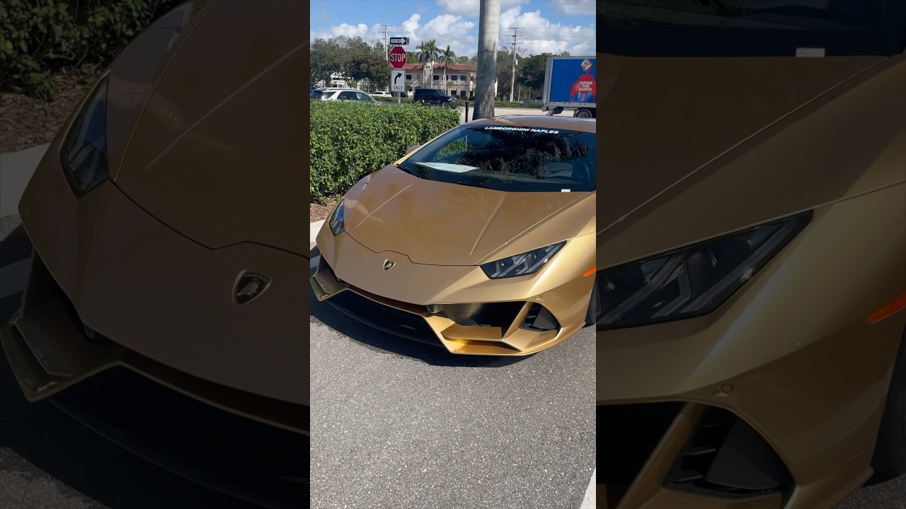 Ditch LinkTree, use MotoTree 😎