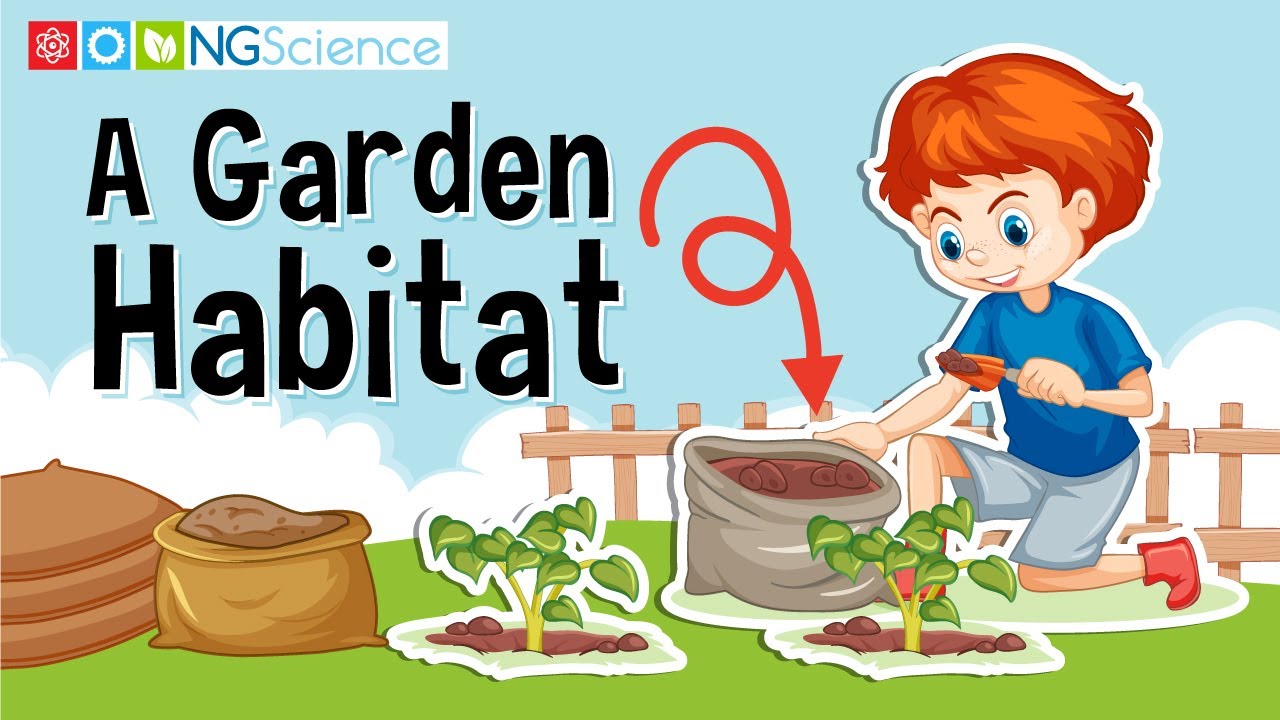 A Garden Habitat