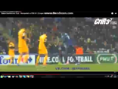 Wasquehal VS PSG Ibrahimovich Goal