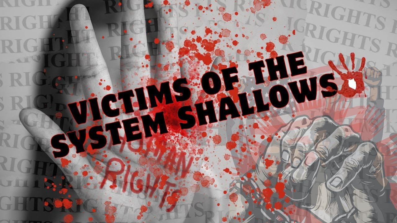 Victims Of The System The Shallows