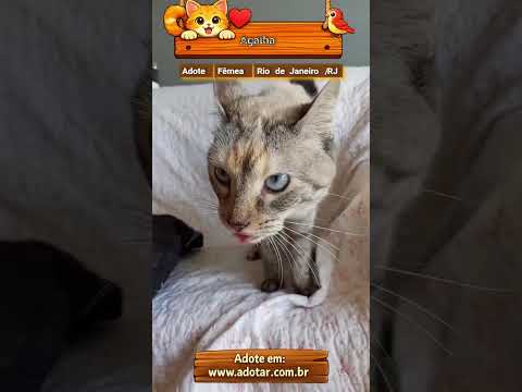 Vídeo de Agatha