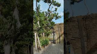 insta 360 one x2鹽水景點鹽水車站倉庫群樹屋