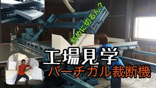 動画のサムネイル