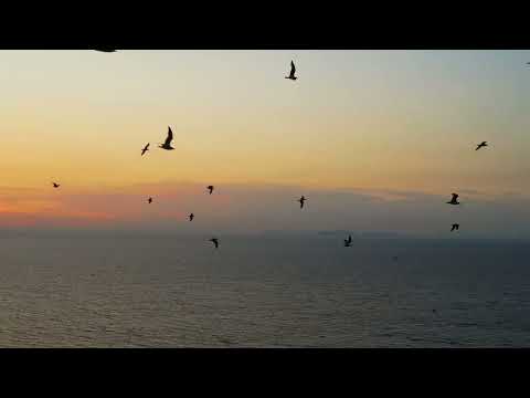 Diane Arkenstone - Elements of Nature (Official Music Video)