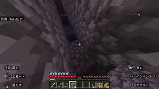 夜な夜なマイクラ