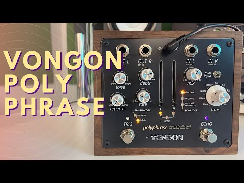 Vongon Polyphrase Stereo Echo and Looping Device image 3