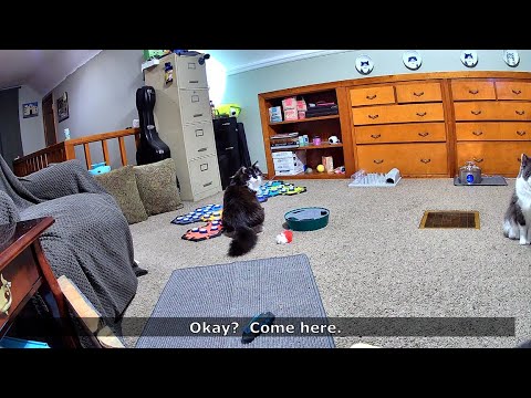 I Hate That Todd Gets This Upset