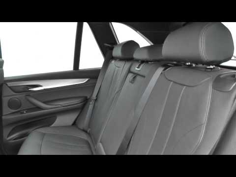 BMW X5 (F15) X5 xDrive25d M Sport N47 2.0 (Z15C) U14761