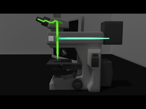 Fluorescence Microscopy Animation