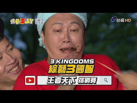 綜藝3國智