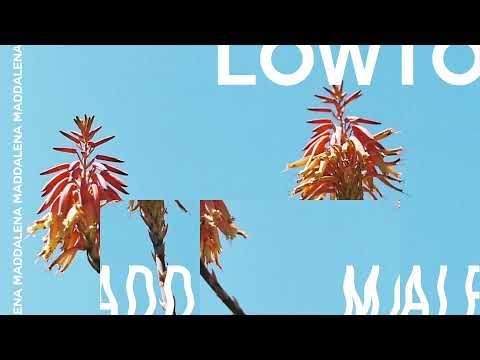 Lowtopic - Otago