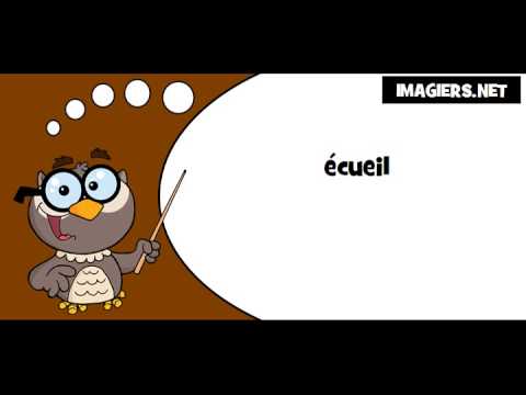 Lis avec la chouette # écueil