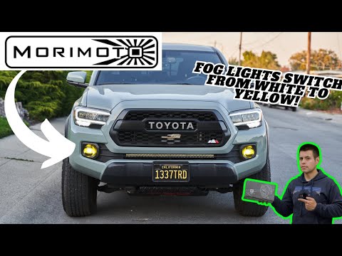 Morimoto XB Evo + Fog Light Tacoma Install and Review! Amazing Tacoma Fog Lights!