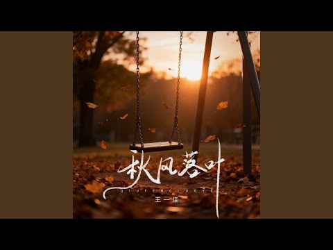 秋风落叶 (DJ九零版)