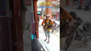Download lagu Janda muda versi pengamen mp3 Download lagu Janda muda versi pengamen mp3