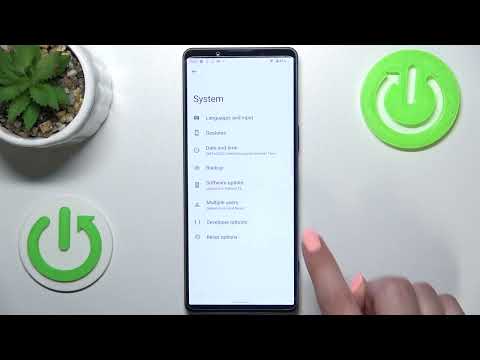 How to Activate Auto System Update Mode on SONY Xperia 1 IV - Developer Mode