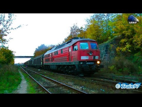 BR232 Ludmilla 65-1010-6 & Marfar DB Schnker Freight Train pe Seara/on Evening in Oradea