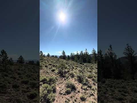 great running/biking trail with access right from the campground