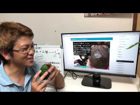 全体の様子(開花開始)