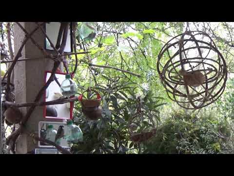 download lagu mp3 mp4 Bird Armchair, download lagu Bird Armchair gratis, unduh video klip Bird Armchair