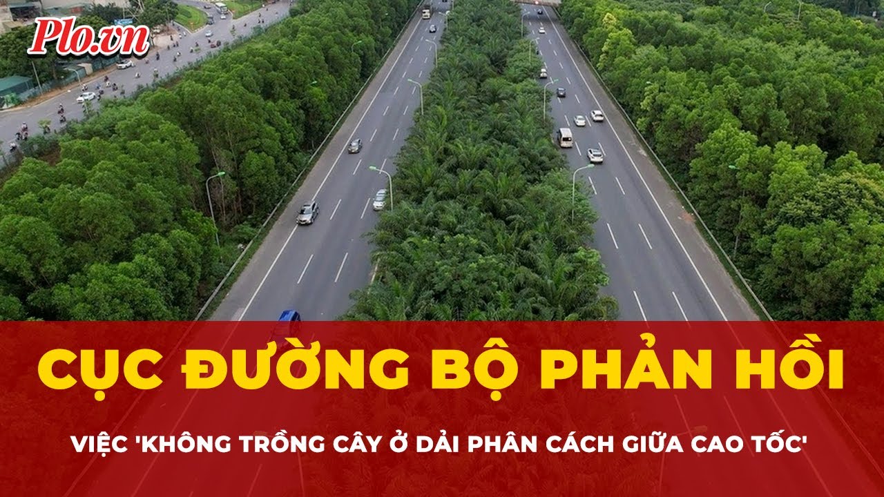 Cục Đường bộ nói gì về việc 'không trồng cây ở dải phân cách giữa cao tốc'?