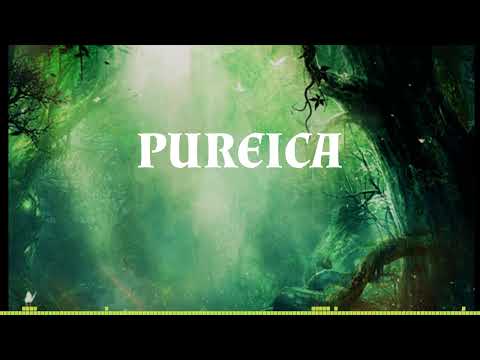 Pureica - SomShish [Goa trance 2023]