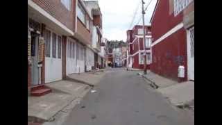 preview picture of video 'Perro andando por las calles de San Mateo, Soacha.'