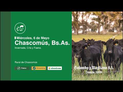 2026.05.06 Chascomús