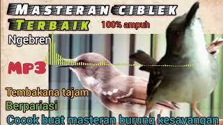 Download lagu MP3 MASTERAN CIBLEK TERBAIK NGEBREN TEMBAKAN TAJAM BERPARIASI ( untuk semua burung) mp3