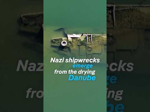 WWII Nazi-era warships emerge as Danube dries up | DW News