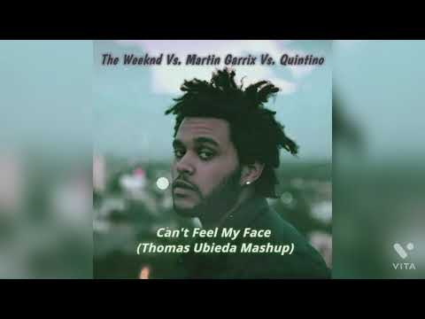 The Weeknd vs. Martin Garrix vs. Quintino - Can't Feel My Face (Thomas Ubieda Mashup)
