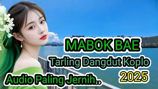 Download lagu MABOK BAE ~ TARLING DANGDUT KOPLO PALING ENAK DI DENGAR ‼️ mp3