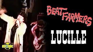 Beat Farmers - Lucille