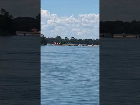 Ilha do Jurerê nacional em Rosana estado de São Paulo #rio #paraná #prainha